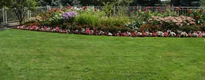 Well maintained bed of flowers by Garden City Grounds